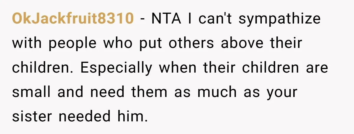 OkJackfruit8310 − NTA I can't sympathize with people who put others above their children. Especially when their children are small and need them as much as your sister needed him.