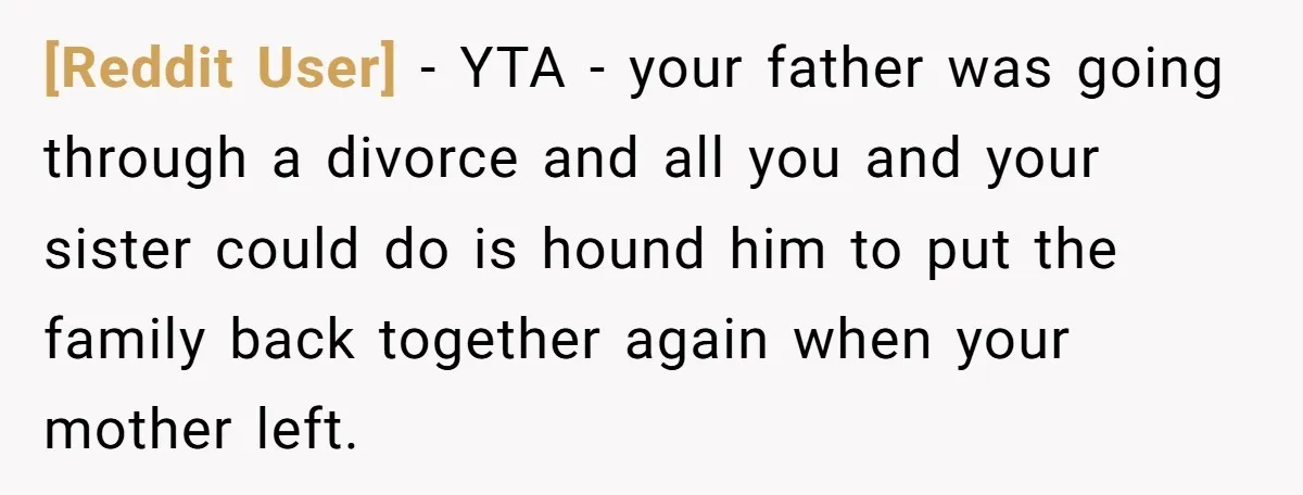 [Reddit User] − YTA - your father was going through a divorce and all you and your sister could do is hound him to put the family back together again...