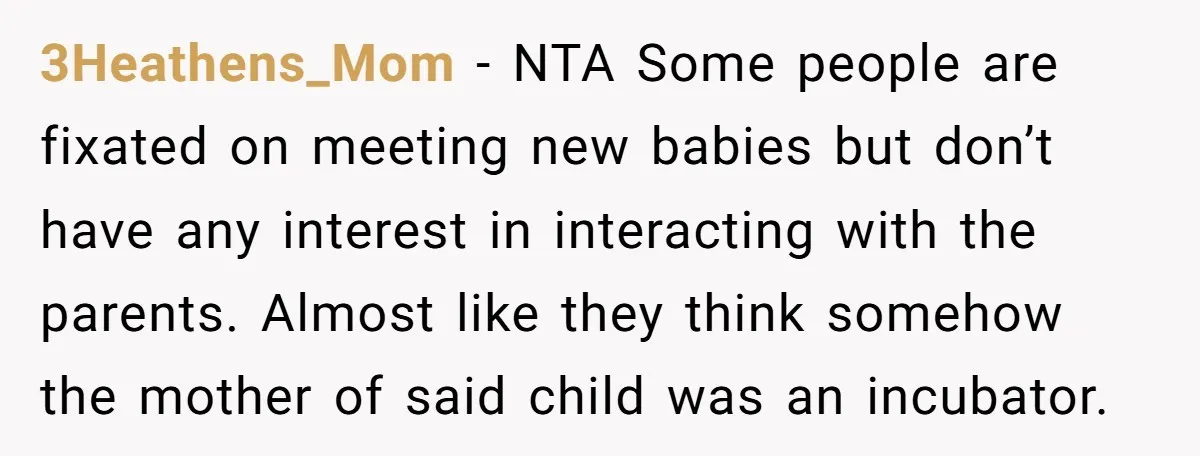 3Heathens_Mom − NTA Some people are fixated on meeting new babies but don’t have any interest in interacting with the parents. Almost like they think somehow the mother of said...
