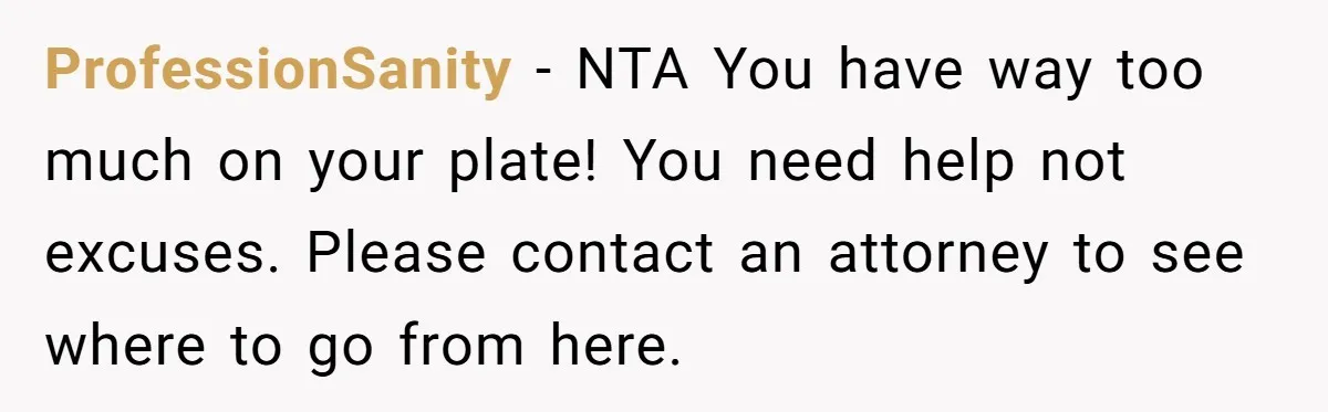 ProfessionSanity − NTA You have way too much on your plate! You need help not excuses. Please contact an attorney to see where to go from here.