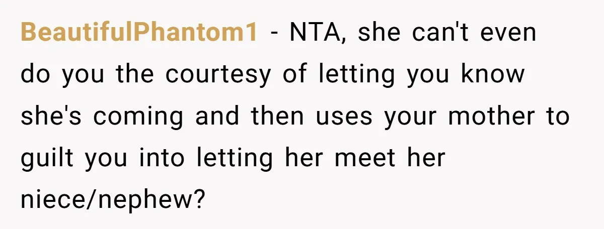 BeautifulPhantom1 − NTA, she can't even do you the courtesy of letting you know she's coming and then uses your mother to guilt you into letting her meet her niece/nephew?