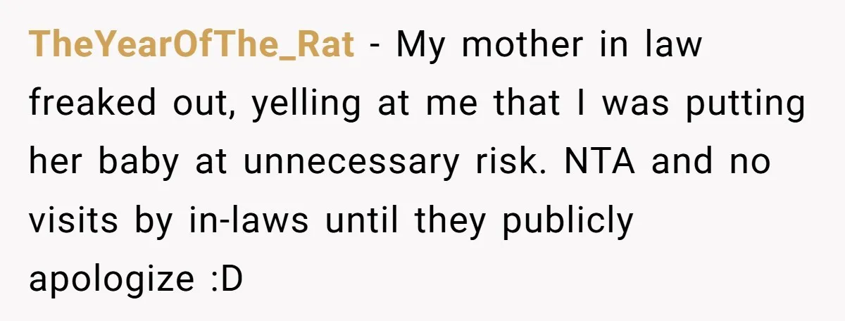 TheYearOfThe_Rat − My mother in law freaked out, yelling at me that I was putting her baby at unnecessary risk. NTA and no visits by in-laws until they publicly apologize...