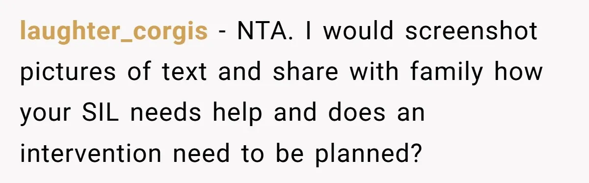 laughter_corgis − NTA. I would screenshot pictures of text and share with family how your SIL needs help and does an intervention need to be planned?