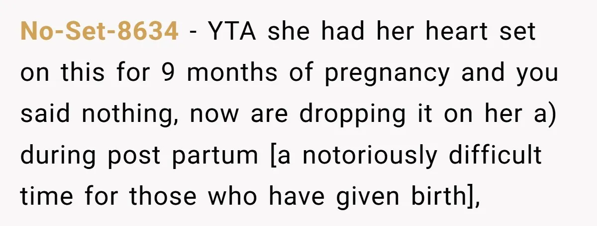 No-Set-8634 − YTA she had her heart set on this for 9 months of pregnancy and you said nothing, now are dropping it on her a) during post partum [a...
