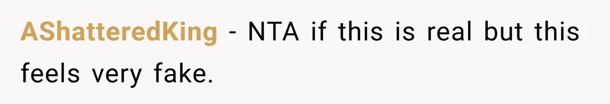 AShatteredKing − NTA if this is real but this feels very fake.