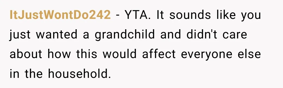 ItJustWontDo242 − YTA. It sounds like you just wanted a grandchild and didn't care about how this would affect everyone else in the household.