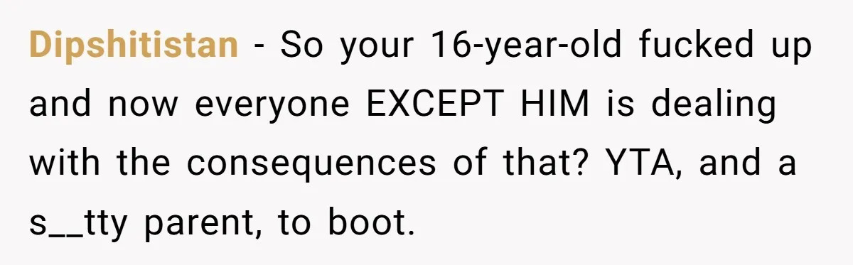 Dipshitistan − So your 16-year-old fucked up and now everyone EXCEPT HIM is dealing with the consequences of that? YTA, and a s__tty parent, to boot.