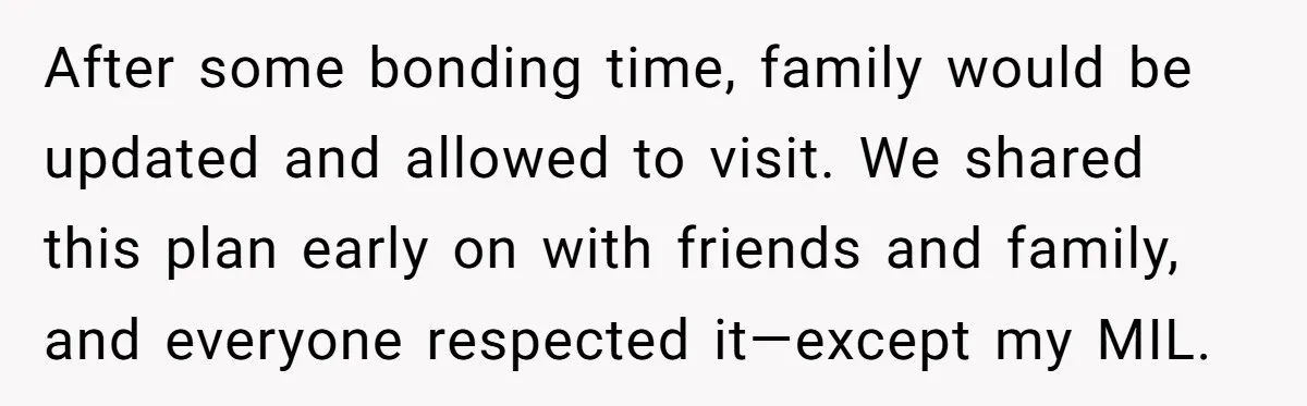 After some bonding time, family would be updated and allowed to visit. We shared this plan early on with friends and family, and everyone respected it—except my MIL.