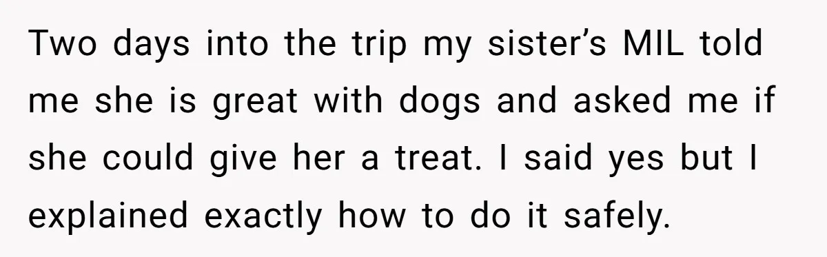 Two days into the trip my sister’s MIL told me she is great with dogs and asked me if she could give her a treat. I said yes but I...