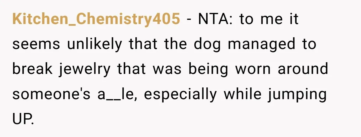 Kitchen_Chemistry405 − NTA: to me it seems unlikely that the dog managed to break jewelry that was being worn around someone's a__le, especially while jumping UP.