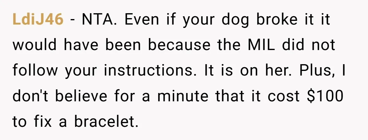 LdiJ46 − NTA. Even if your dog broke it it would have been because the MIL did not follow your instructions. It is on her. Plus, I don't believe for...