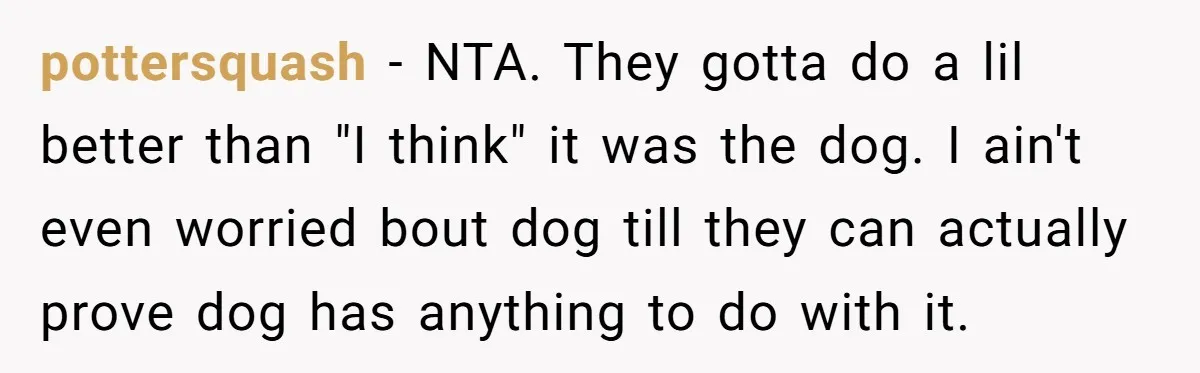 pottersquash − NTA. They gotta do a lil better than "I think" it was the dog. I ain't even worried bout dog till they can actually prove dog has anything...
