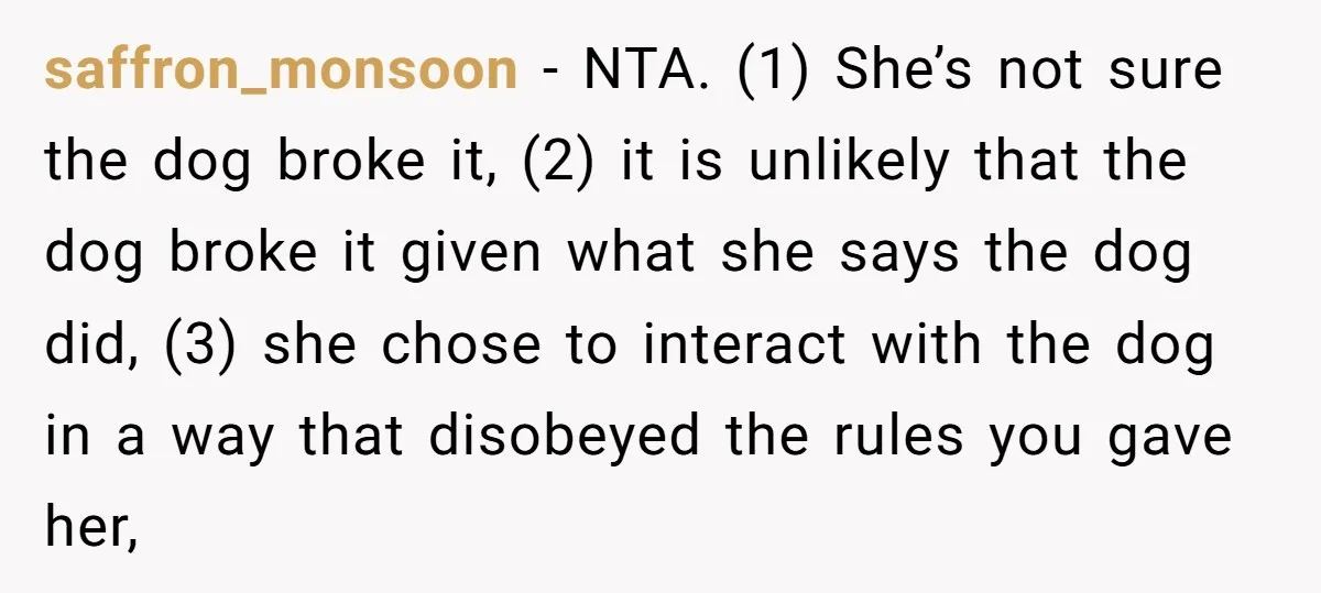 saffron_monsoon − NTA. (1) She’s not sure the dog broke it, (2) it is unlikely that the dog broke it given what she says the dog did, (3) she chose...