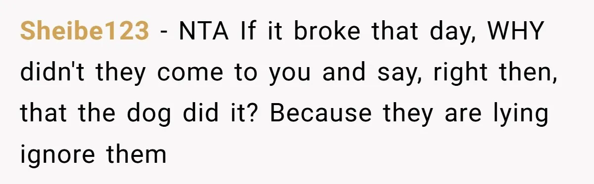 Sheibe123 − NTA If it broke that day, WHY didn't they come to you and say, right then, that the dog did it? Because they are lying ignore them