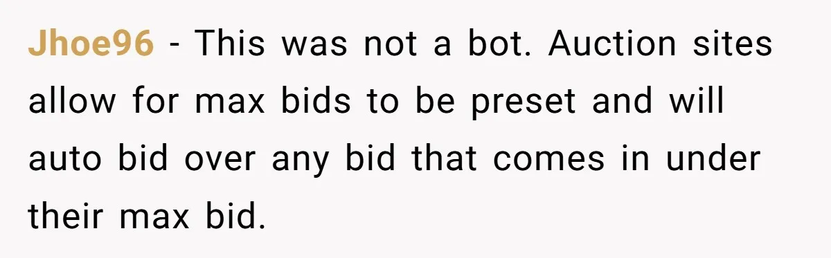Jhoe96 − This was not a bot. Auction sites allow for max bids to be preset and will auto bid over any bid that comes in under their max bid.