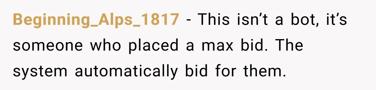 Beginning_Alps_1817 − This isn’t a bot, it’s someone who placed a max bid. The system automatically bid for them.