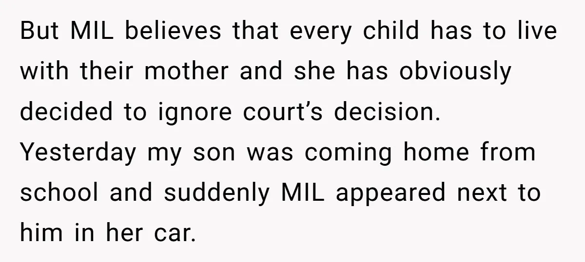 But MIL believes that every child has to live with their mother and she has obviously decided to ignore court’s decision. Yesterday my son was coming home from school and...