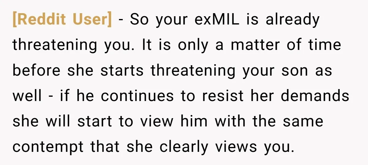 [Reddit User] − So your exMIL is already threatening you. It is only a matter of time before she starts threatening your son as well - if he continues to...