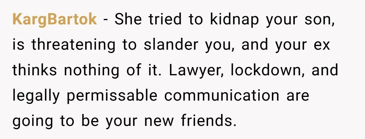 KargBartok − She tried to kidnap your son, is threatening to slander you, and your ex thinks nothing of it. Lawyer, lockdown, and legally permissable communication are going to be...