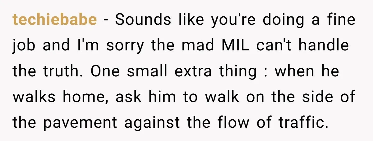 techiebabe − Sounds like you're doing a fine job and I'm sorry the mad MIL can't handle the truth. One small extra thing : when he walks home, ask him...