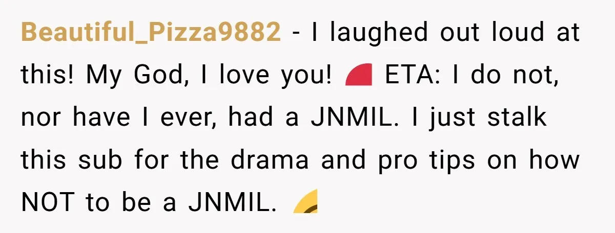 Beautiful_Pizza9882 − I laughed out loud at this! My God, I love you! ❤️ ETA: I do not, nor have I ever, had a JNMIL. I just stalk this sub...