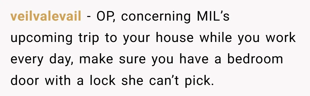 veilvalevail − OP, concerning MIL’s upcoming trip to your house while you work every day, make sure you have a bedroom door with a lock she can’t pick.
