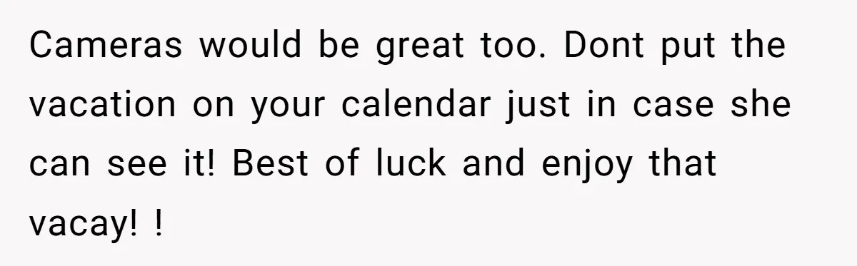 Cameras would be great too. Dont put the vacation on your calendar just in case she can see it! Best of luck and enjoy that vacay! !