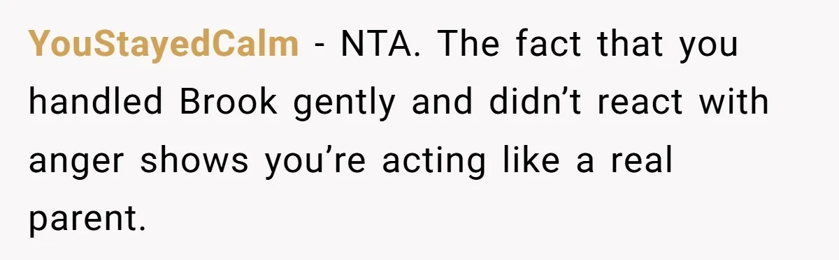 YouStayedCalm - NTA. The fact that you handled Brook gently and didn’t react with anger shows you’re acting like a real parent.