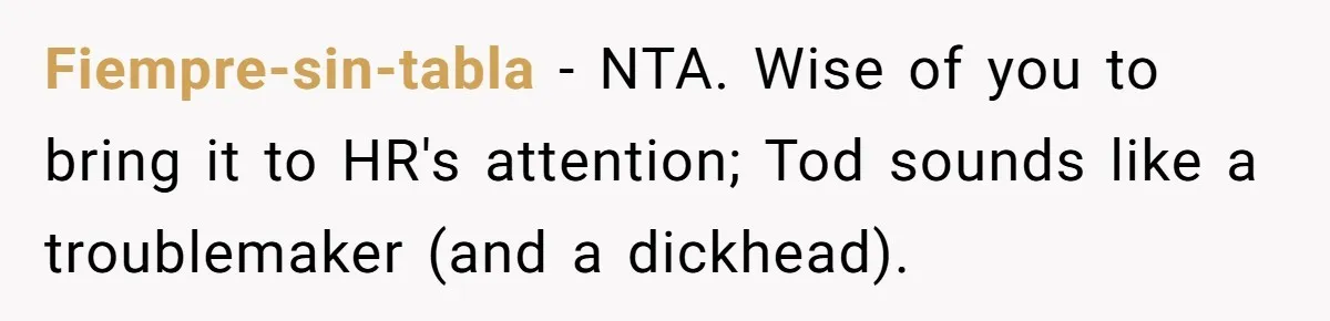 Fiempre-sin-tabla − NTA. Wise of you to bring it to HR's attention; Tod sounds like a troublemaker (and a dіckhead).
