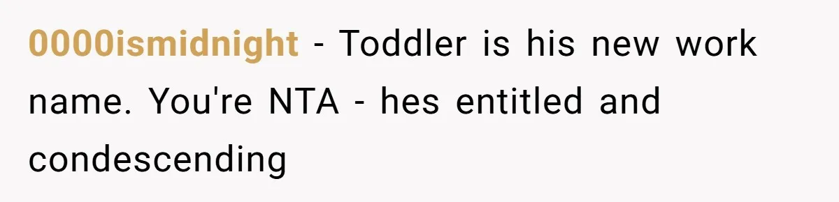 0000ismidnight − Toddler is his new work name. You're NTA - hes entitled and condescending