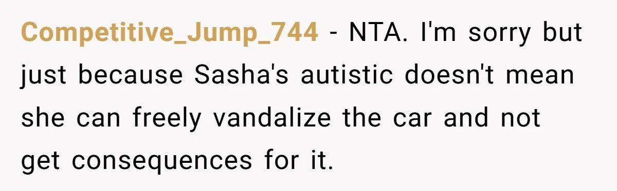 Competitive_Jump_744 − NTA. I'm sorry but just because Sasha's autistic doesn't mean she can freely vandalize the car and not get consequences for it.