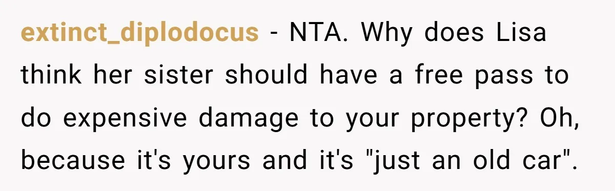 extinct_diplodocus − NTA. Why does Lisa think her sister should have a free pass to do expensive damage to your property? Oh, because it's yours and it's "just an old...