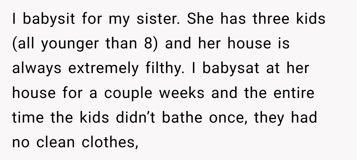 I babysit for my sister. She has three kids (all younger than 8) and her house is always extremely filthy. I babysat at her house for a couple weeks and...