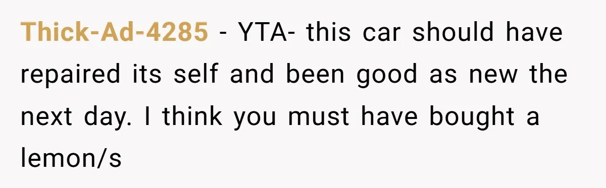 Thick-Ad-4285 − YTA- this car should have repaired its self and been good as new the next day. I think you must have bought a lemon/s