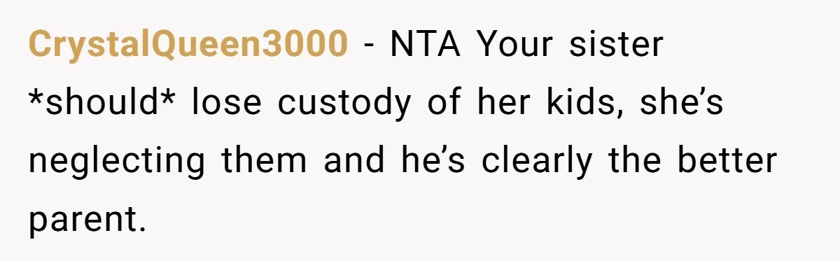 CrystalQueen3000 − NTA Your sister *should* lose custody of her kids, she’s neglecting them and he’s clearly the better parent.
