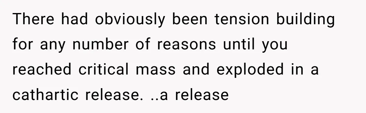 There had obviously been tension building for any number of reasons until you reached critical mass and exploded in a cathartic release. ..a release