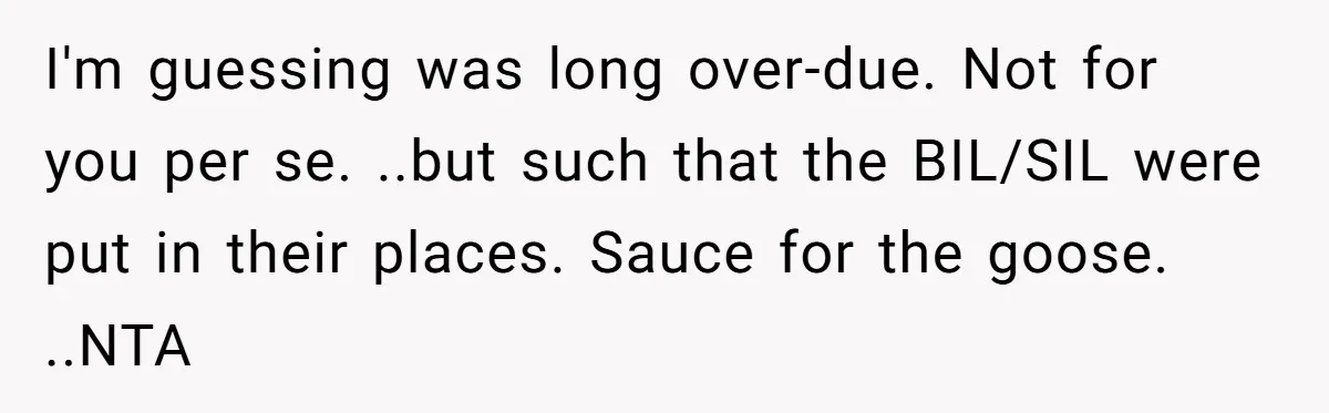 I'm guessing was long over-due. Not for you per se. ..but such that the BIL/SIL were put in their places. Sauce for the goose. ..NTA