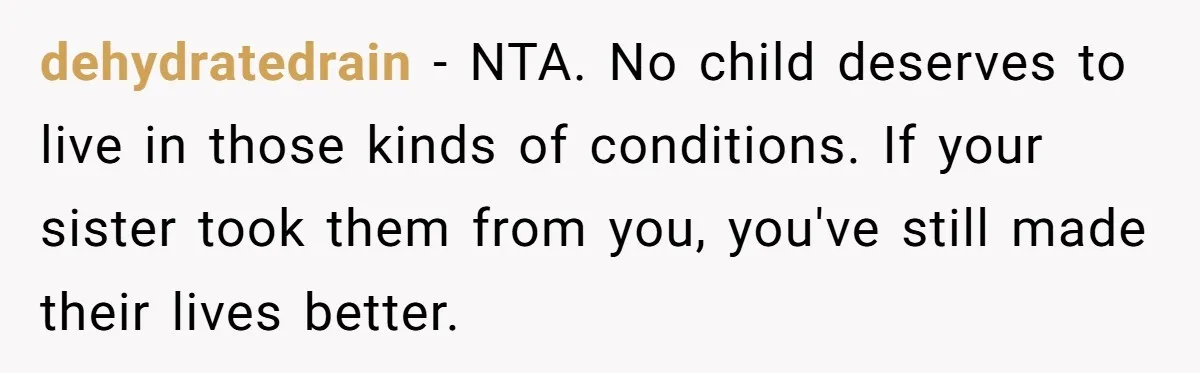 dehydratedrain − NTA. No child deserves to live in those kinds of conditions. If your sister took them from you, you've still made their lives better.