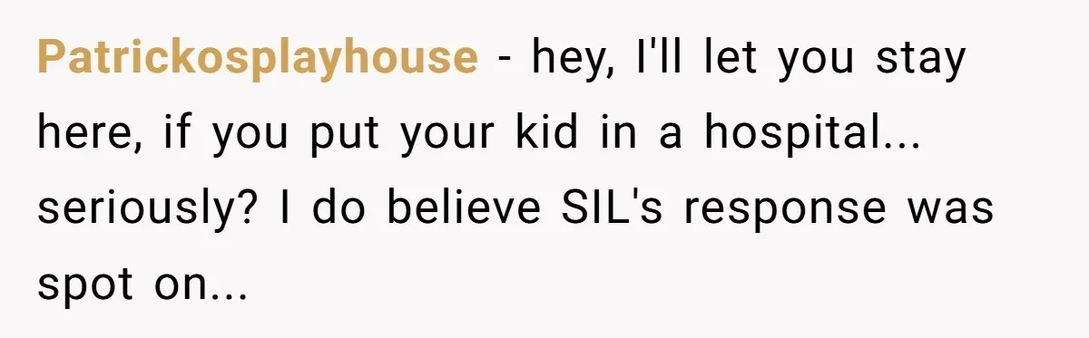Patrickosplayhouse − hey, I'll let you stay here, if you put your kid in a hospital... seriously? I do believe SIL's response was spot on...