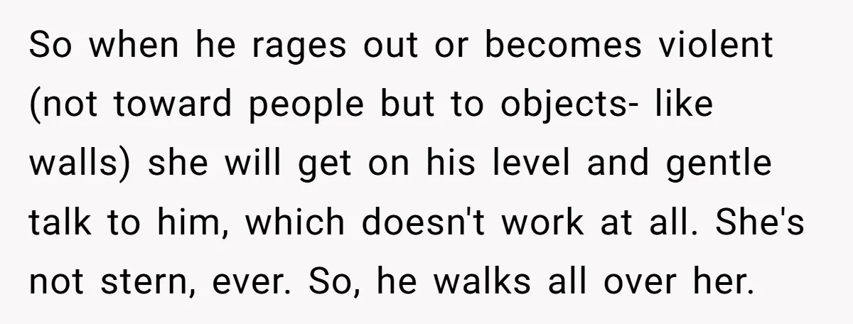 So when he rages out or becomes violent (not toward people but to objects- like walls) she will get on his level and gentle talk to him, which doesn't work...