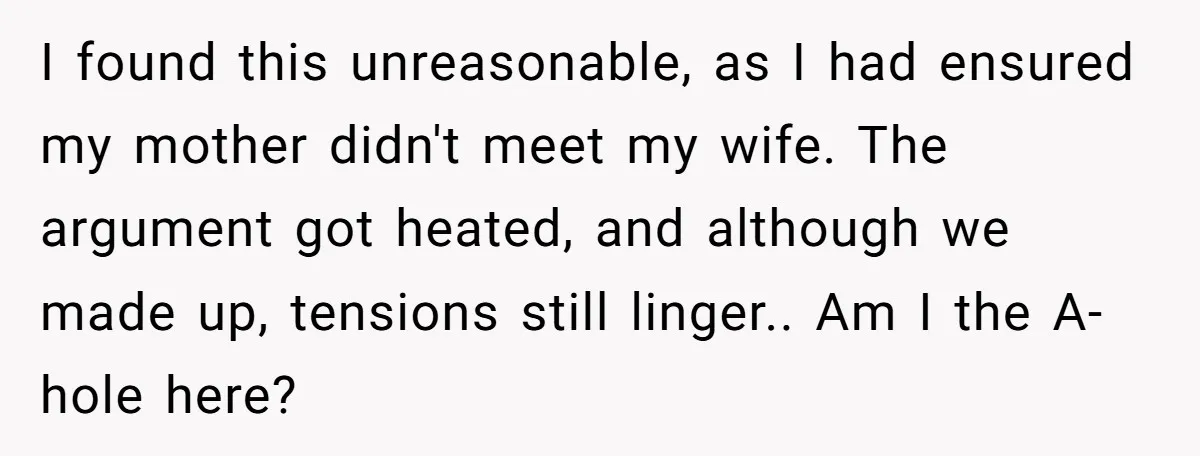 I found this unreasonable, as I had ensured my mother didn't meet my wife. The argument got heated, and although we made up, tensions still linger.. Am I the A-hole...