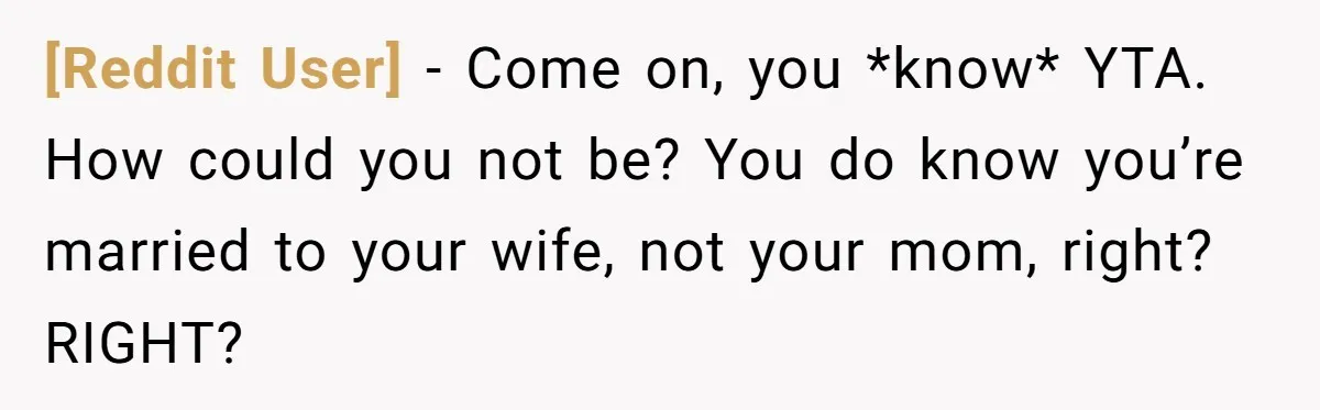 [Reddit User] − Come on, you *know* YTA. How could you not be? You do know you’re married to your wife, not your mom, right? RIGHT?