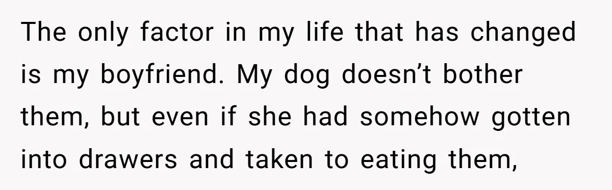 The only factor in my life that has changed is my boyfriend. My dog doesn’t bother them, but even if she had somehow gotten into drawers and taken to eating...