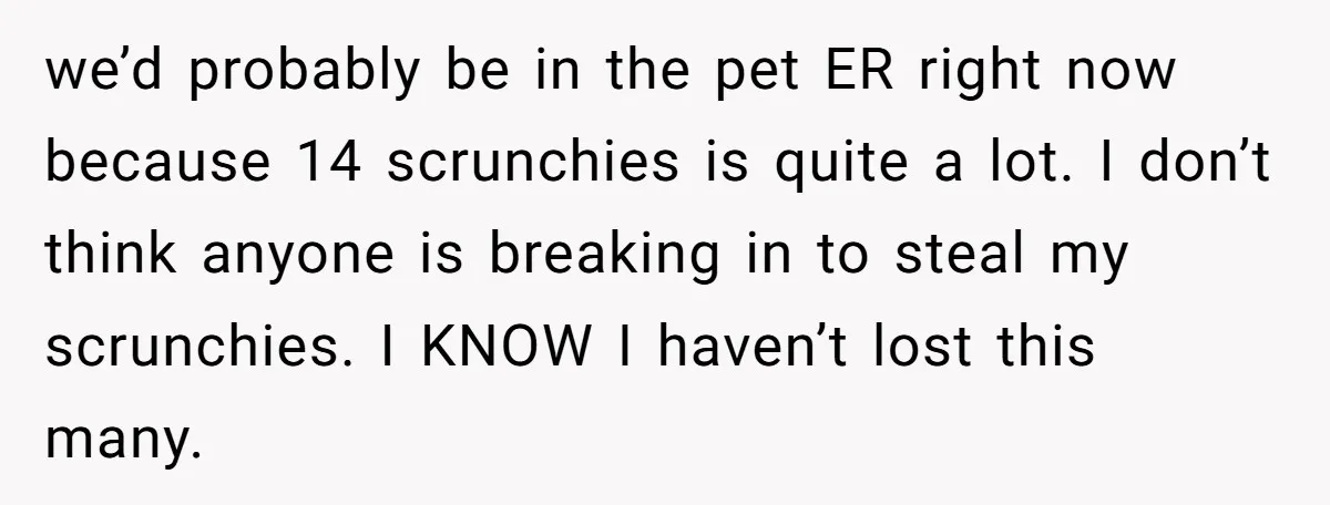 we’d probably be in the pet ER right now because 14 scrunchies is quite a lot. I don’t think anyone is breaking in to steal my scrunchies. I KNOW I...