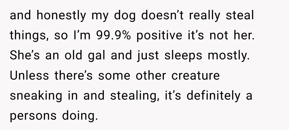 and honestly my dog doesn’t really steal things, so I’m 99.9% positive it’s not her. She’s an old gal and just sleeps mostly. Unless there’s some other creature sneaking in...