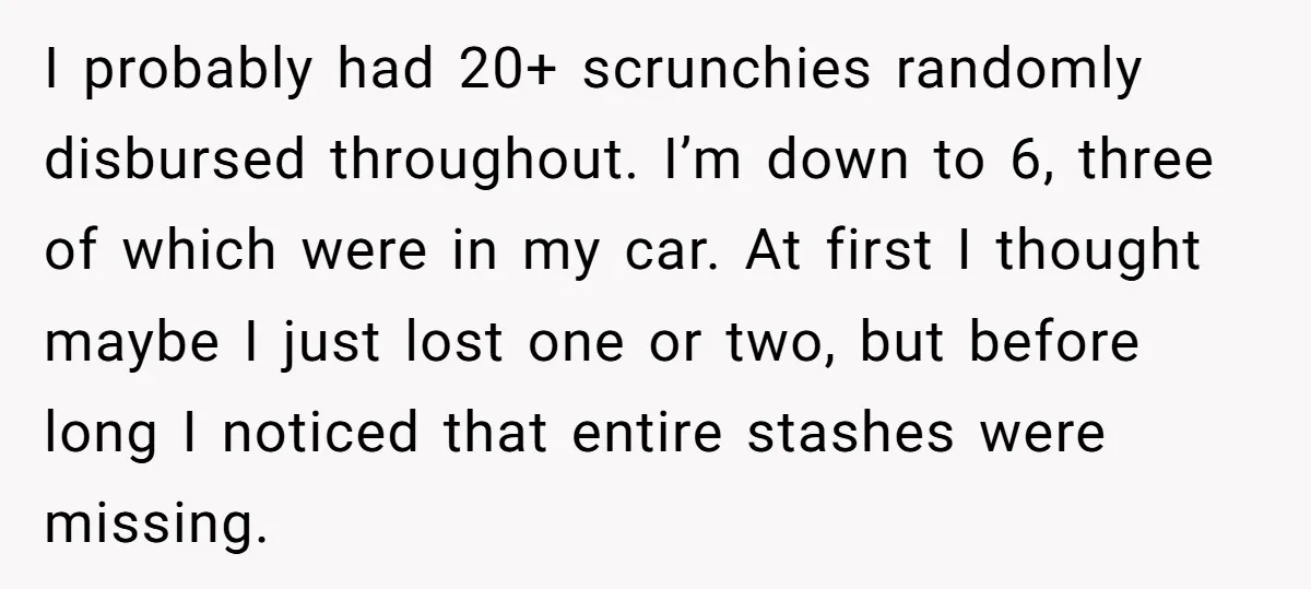 I probably had 20+ scrunchies randomly disbursed throughout. I’m down to 6, three of which were in my car. At first I thought maybe I just lost one or two,...