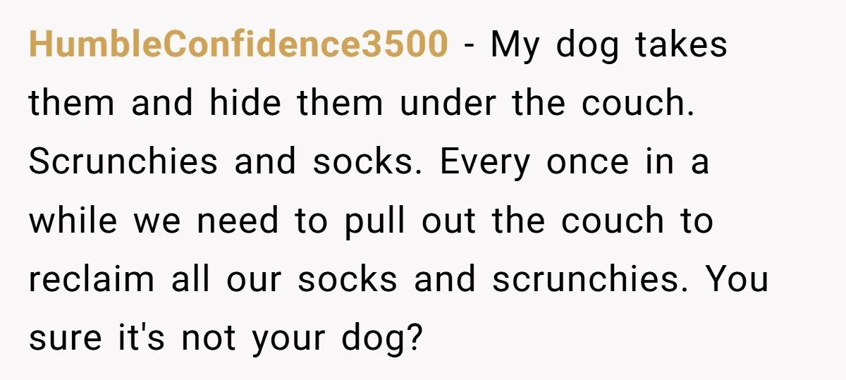 HumbleConfidence3500 − My dog takes them and hide them under the couch. Scrunchies and socks. Every once in a while we need to pull out the couch to reclaim all...