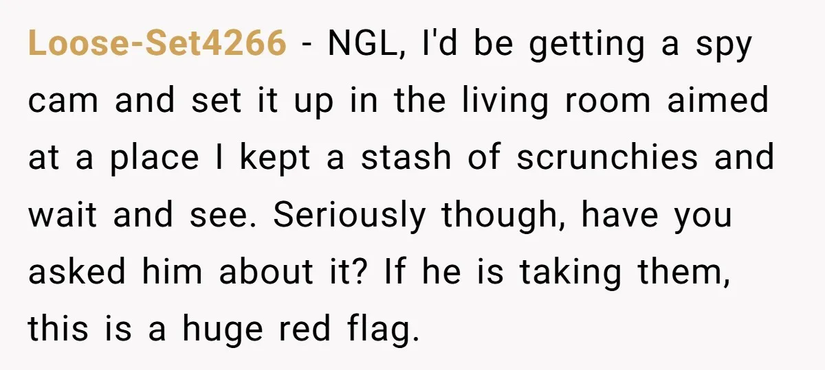 Loose-Set4266 − NGL, I'd be getting a spy cam and set it up in the living room aimed at a place I kept a stash of scrunchies and wait and...