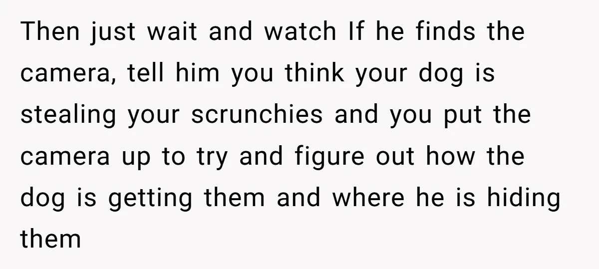 Then just wait and watch If he finds the camera, tell him you think your dog is stealing your scrunchies and you put the camera up to try and figure...