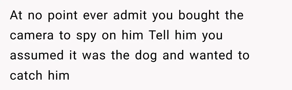 At no point ever admit you bought the camera to spy on him Tell him you assumed it was the dog and wanted to catch him